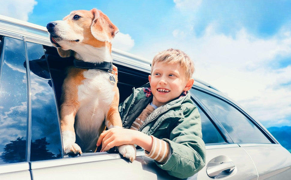 Pfotenbank – Premium Hundedecke fürs Auto